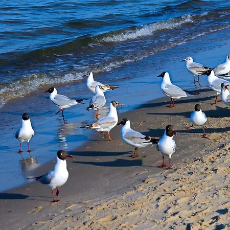 Earth Comfortable Prázdninový dům