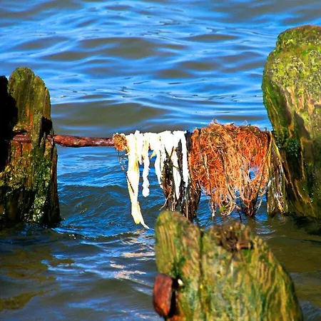 Prázdninový dům Earth Comfortable