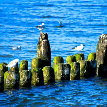 Earth Comfortable Prázdninový dům