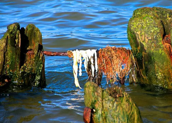 Ferienhaus Earth Comfortable